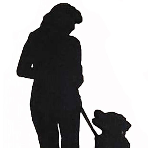 Joy's dog walking service Site Icon
