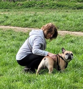 Joy's dog walking service Bromley pictures