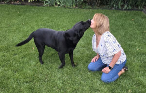 Joy's dog walking service Bromley pictures