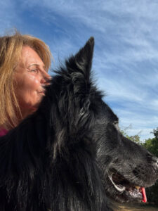 Joy's dog walking service Bromley pictures